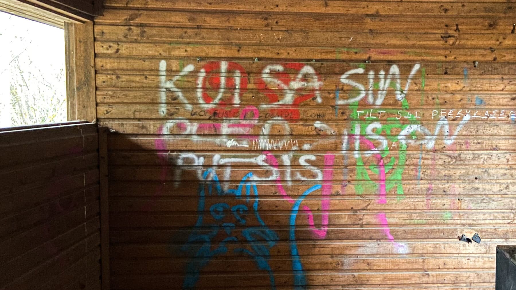Eero Epner Alkoholi lapsed, Grafiti, maakoht, maaelu