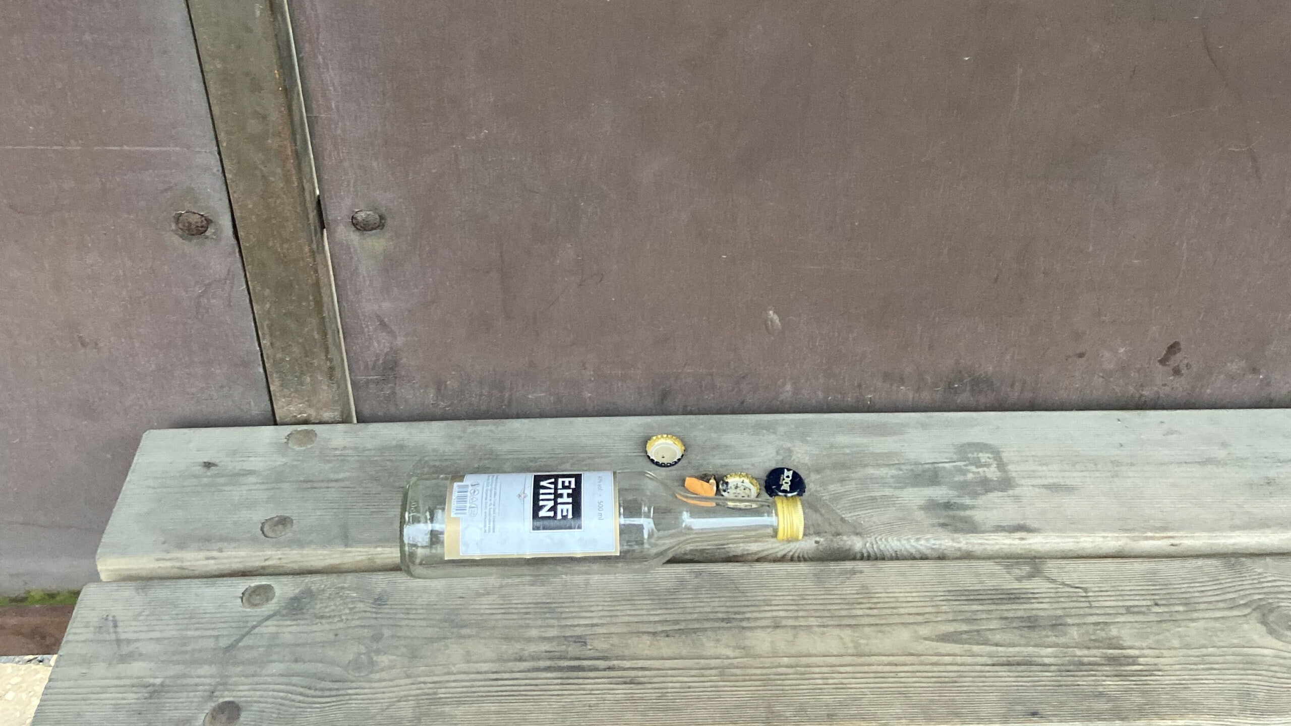 Eero Epner Alkoholi lapsed, viin, maakoht, maaelu, taara, bussipeatus